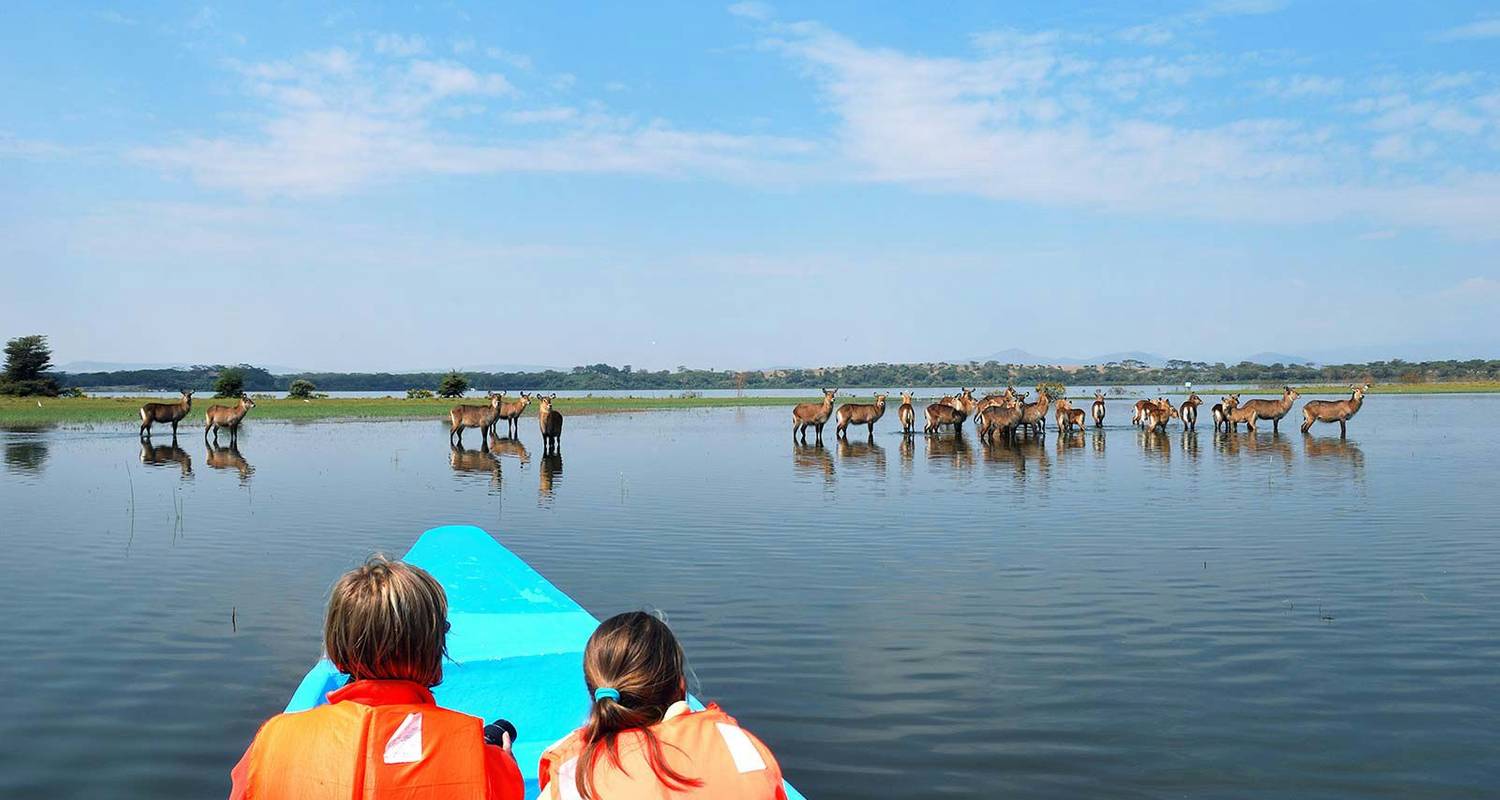 Boat Ride In Lake Naivasha to Crescent Island