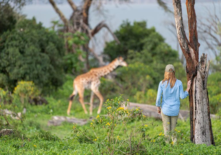 Giraffe at Crescent Island