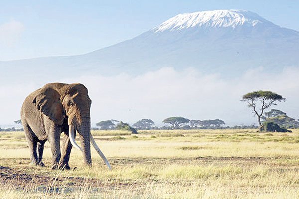 Amboseli Sopa Lodge