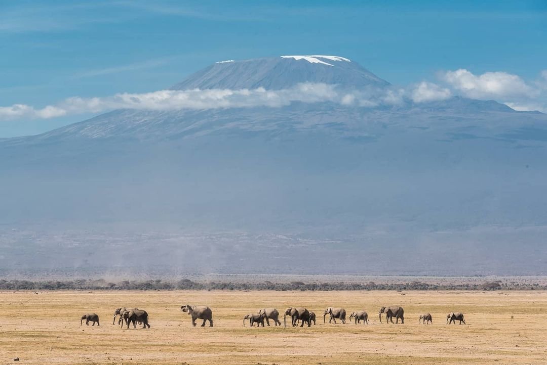 AMBOSELI NATIONAL PARK