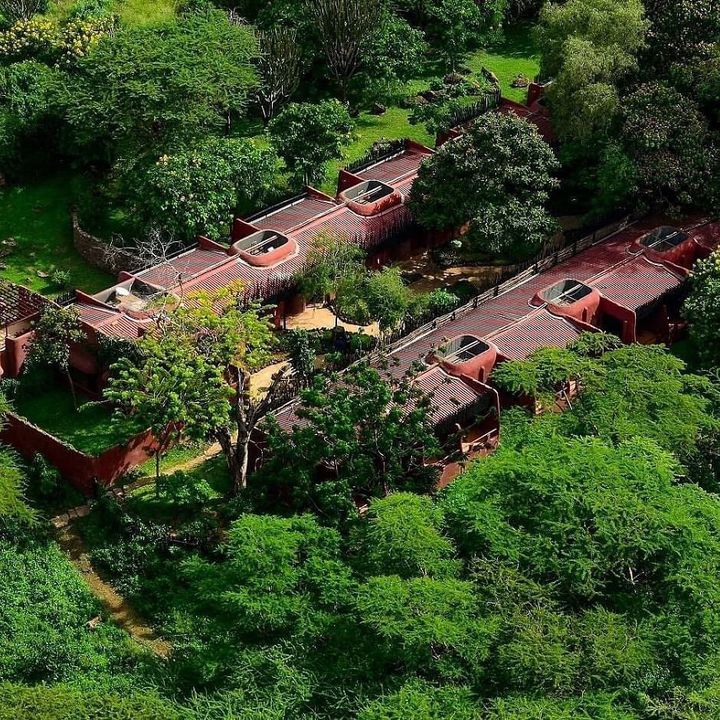 AMBOSELI SERENA SAFARI LODGE