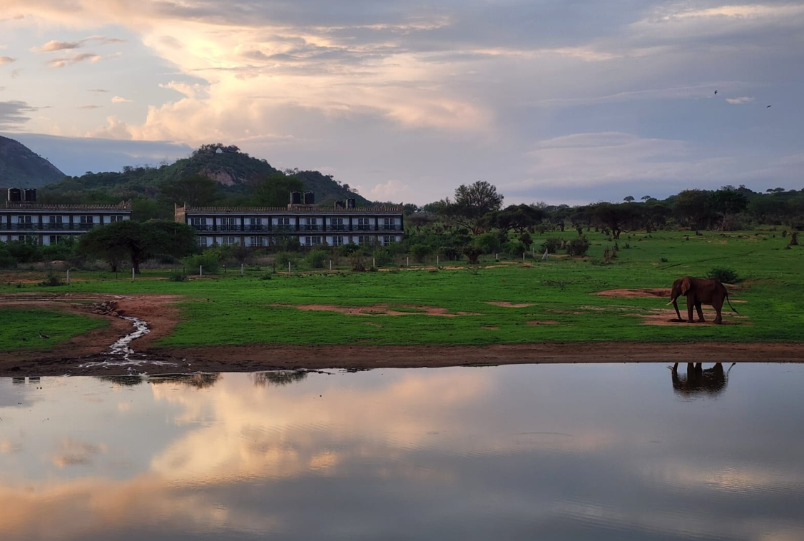 Voi Wildlife Lodge