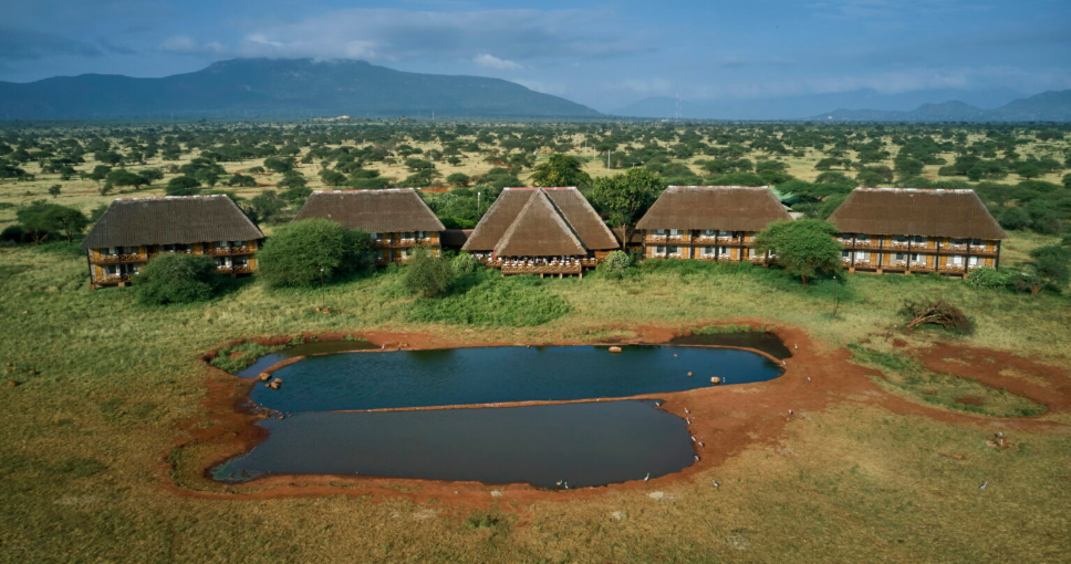 NGUTUNI SAFARI LODGE